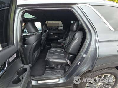 2023 Hyundai Palisade Calligraphy - zdjęcie 10 z 20 - miniatura