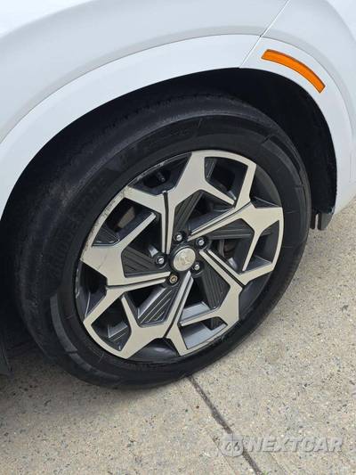 2021 Hyundai Palisade Calligraphy - zdjęcie 26 z 27 - miniatura