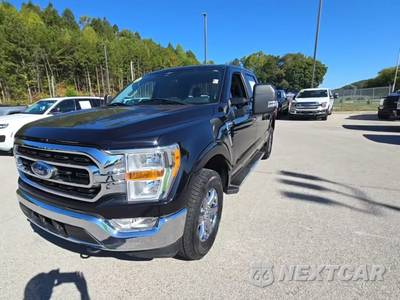 2023 Ford F-150 XLT Crew Cab Medium Bed