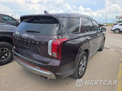2024 Hyundai Palisade Calligraphy - zdjęcie 3 z 24 - miniatura