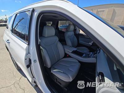2021 Hyundai Palisade SEL - zdjęcie 16 z 25 - miniatura