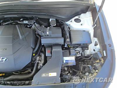 2021 Hyundai Palisade SEL - zdjęcie 24 z 25 - miniatura