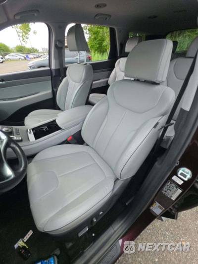 2024 Hyundai Palisade SEL 7-Passenger - zdjęcie 6 z 35 - miniatura