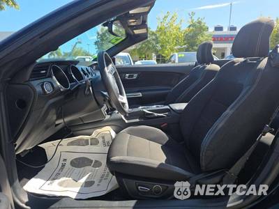 2015 Ford Mustang V6 Convertible - zdjęcie 3 z 21 - miniatura