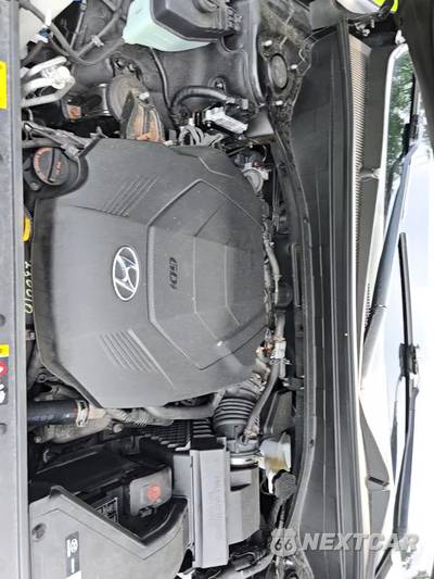2020 Hyundai Palisade SEL - zdjęcie 28 z 29 - miniatura