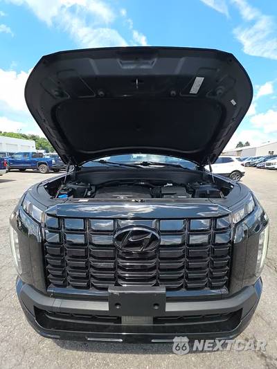 2024 Hyundai Palisade XRT - zdjęcie 24 z 24 - miniatura