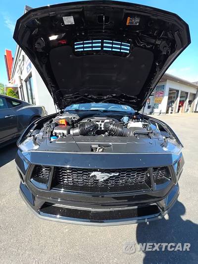 2024 Ford Mustang GT Coupe - zdjęcie 22 z 26 - miniatura