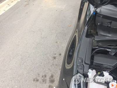 2024 Toyota Corolla Hybrid XLE Sedan - zdjęcie 28 z 29 - miniatura