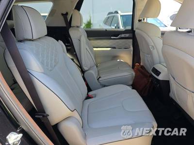 2020 Hyundai Palisade Limited - zdjęcie 17 z 24 - miniatura