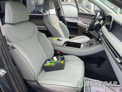 2025 Hyundai Palisade SEL - zdjęcie 18 z 21 - miniatura