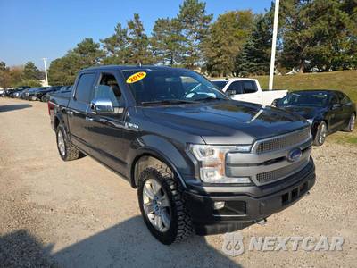 2019 Ford F-150 Platinum Crew Cab Short Bed - zdjęcie 4 z 27 - miniatura