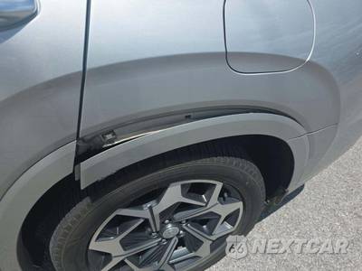 2021 Hyundai Palisade Calligraphy - zdjęcie 19 z 21 - miniatura