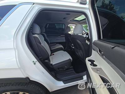 2021 Hyundai Palisade SEL - zdjęcie 17 z 24 - miniatura