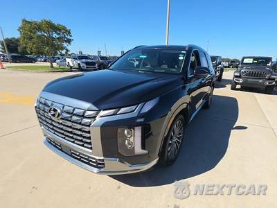 2025 Hyundai Palisade Calligraphy - zdjęcie 1 z 22 - miniatura