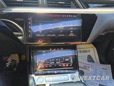 2019 Audi e-tron Premium Plus - zdjęcie 10 z 24 - miniatura