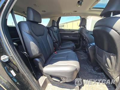 2021 Hyundai Palisade SEL - zdjęcie 17 z 25 - miniatura