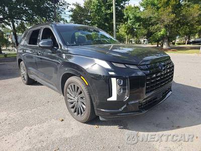 2024 Hyundai Palisade Calligraphy Night Edition - zdjęcie 4 z 25 - miniatura