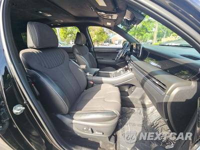 2024 Hyundai Palisade Calligraphy Night Edition - zdjęcie 19 z 25 - miniatura