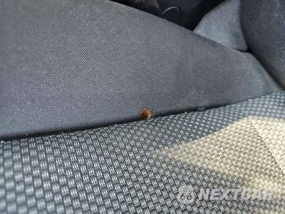 2019 Volkswagen Jetta S - zdjęcie 19 z 39 - miniatura