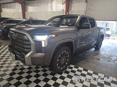 2024 Toyota Tundra Hybrid Limited Crew Cab Short Bed