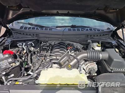 2025 Ford F-150 Tremor Crew Cab Short Bed - zdjęcie 20 z 22 - miniatura