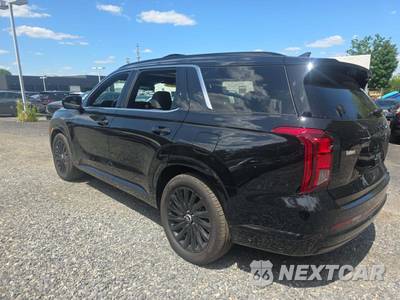 2025 Hyundai Palisade Calligraphy Night Edition - zdjęcie 2 z 21 - miniatura