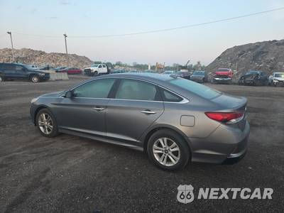 2019 Hyundai Sonata SEL - zdjęcie 6 z 23 - miniatura