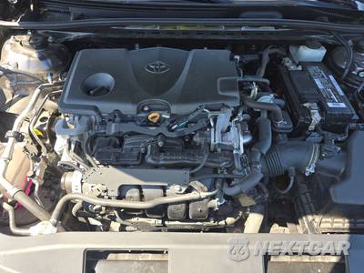 2019 Toyota Camry XLE - zdjęcie 15 z 19 - miniatura