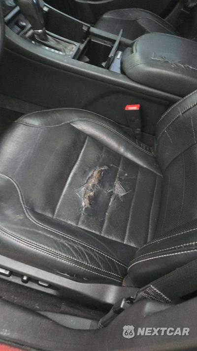 2015 Ford Taurus SHO - zdjęcie 21 z 28 - miniatura