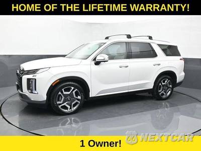 2023 Hyundai Palisade Limited - zdjęcie 3 z 50 - miniatura