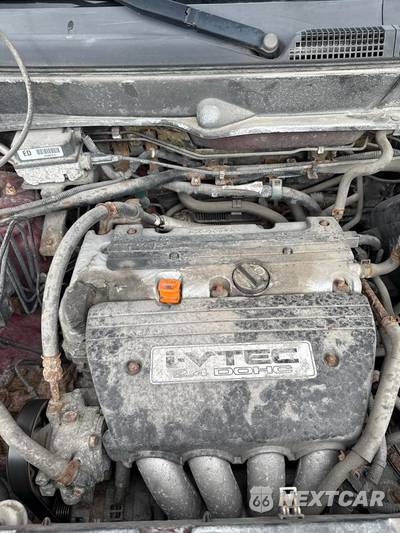 2006 Honda Element EX-P - zdjęcie 36 z 37 - miniatura