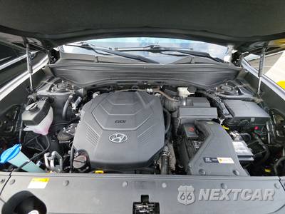 2021 Hyundai Palisade SE - zdjęcie 15 z 21 - miniatura