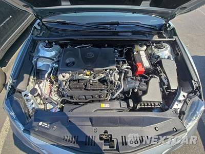 2023 Toyota Camry LE - zdjęcie 15 z 31 - miniatura