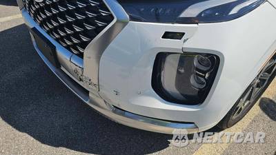 2021 Hyundai Palisade Calligraphy - zdjęcie 21 z 31 - miniatura