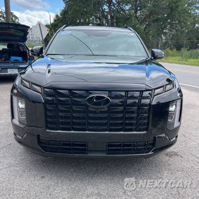 2025 Hyundai Palisade Calligraphy Night Edition - zdjęcie 56 z 67 - miniatura