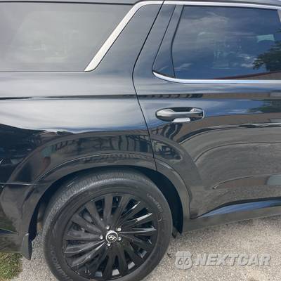 2025 Hyundai Palisade Calligraphy Night Edition - zdjęcie 61 z 67 - miniatura