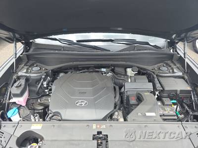 2025 Hyundai Palisade Calligraphy Night Edition - zdjęcie 16 z 25 - miniatura