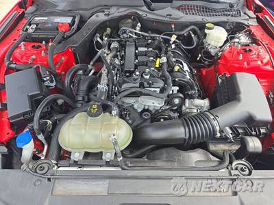 2023 Ford Mustang EcoBoost Premium Coupe - zdjęcie 16 z 26 - miniatura