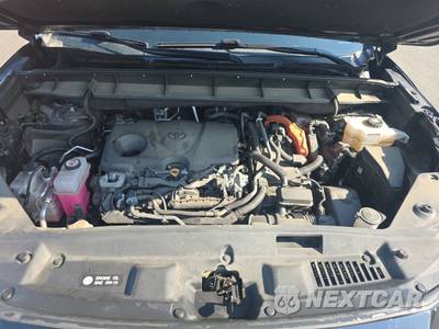 2023 Toyota Highlander Hybrid XLE - zdjęcie 16 z 25 - miniatura