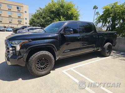 2022 Toyota Tundra Platinum Crew Cab Medium Bed