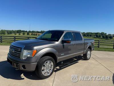 2012 Ford F-150 Platinum Crew Cab Short Bed - zdjęcie 3 z 50 - miniatura