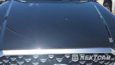 2021 Hyundai Palisade Calligraphy - zdjęcie 17 z 23 - miniatura