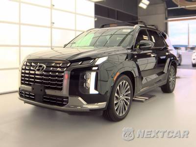 2023 Hyundai Palisade Calligraphy - zdjęcie 1 z 24 - miniatura