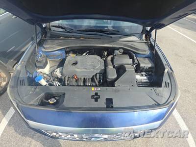 2019 Hyundai Santa Fe Limited - zdjęcie 15 z 18 - miniatura