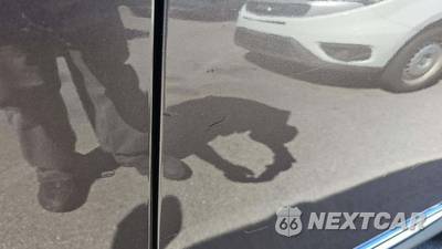 2015 Nissan Pathfinder SL - zdjęcie 30 z 32 - miniatura