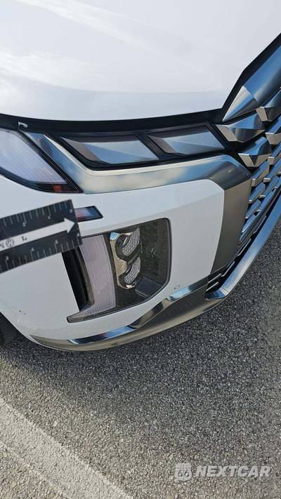 2025 Hyundai Palisade Calligraphy - zdjęcie 20 z 21 - miniatura