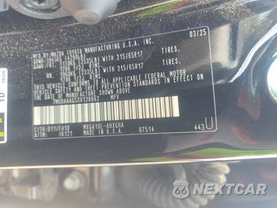 2025 Toyota Corolla Cross LE - zdjęcie 14 z 36 - miniatura