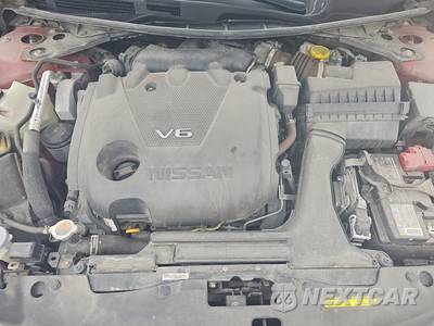 2023 Nissan Maxima SL - zdjęcie 15 z 26 - miniatura