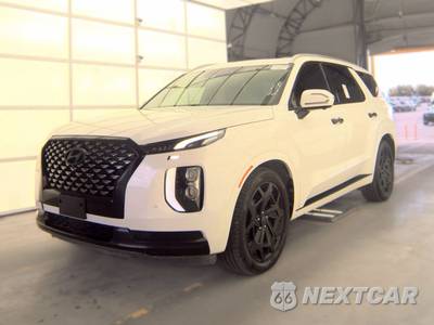 2022 Hyundai Palisade Calligraphy - zdjęcie 1 z 30 - miniatura