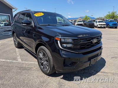 2025 Ford Expedition Platinum - zdjęcie 7 z 61 - miniatura